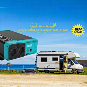 pure sine power inverter.jpg